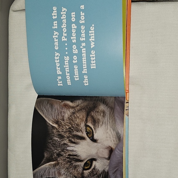 🟢 The Secret Thoughts of Cats Book - Picture 4 of 6